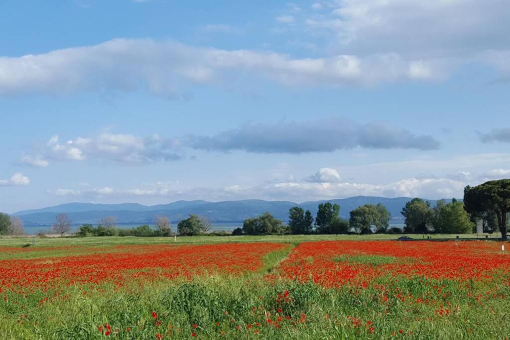 Bellavista La Tua Romantica Vacanza Sul Trasimeno Apartment Castiglione del Lago Bagian luar foto