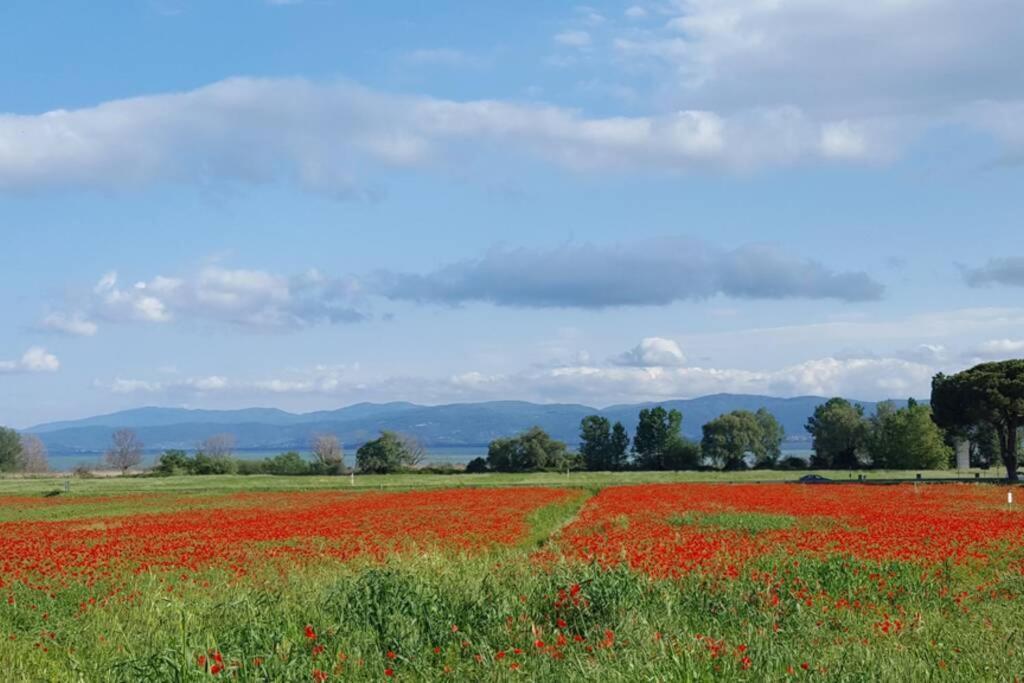 Bellavista La Tua Romantica Vacanza Sul Trasimeno Castiglione del Lago Bagian luar foto