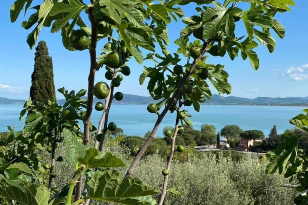 Bellavista La Tua Romantica Vacanza Sul Trasimeno Castiglione del Lago Bagian luar foto