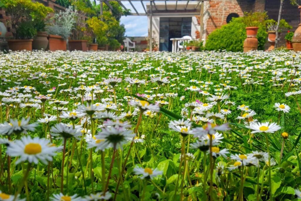 Bellavista La Tua Romantica Vacanza Sul Trasimeno Apartment Castiglione del Lago Bagian luar foto