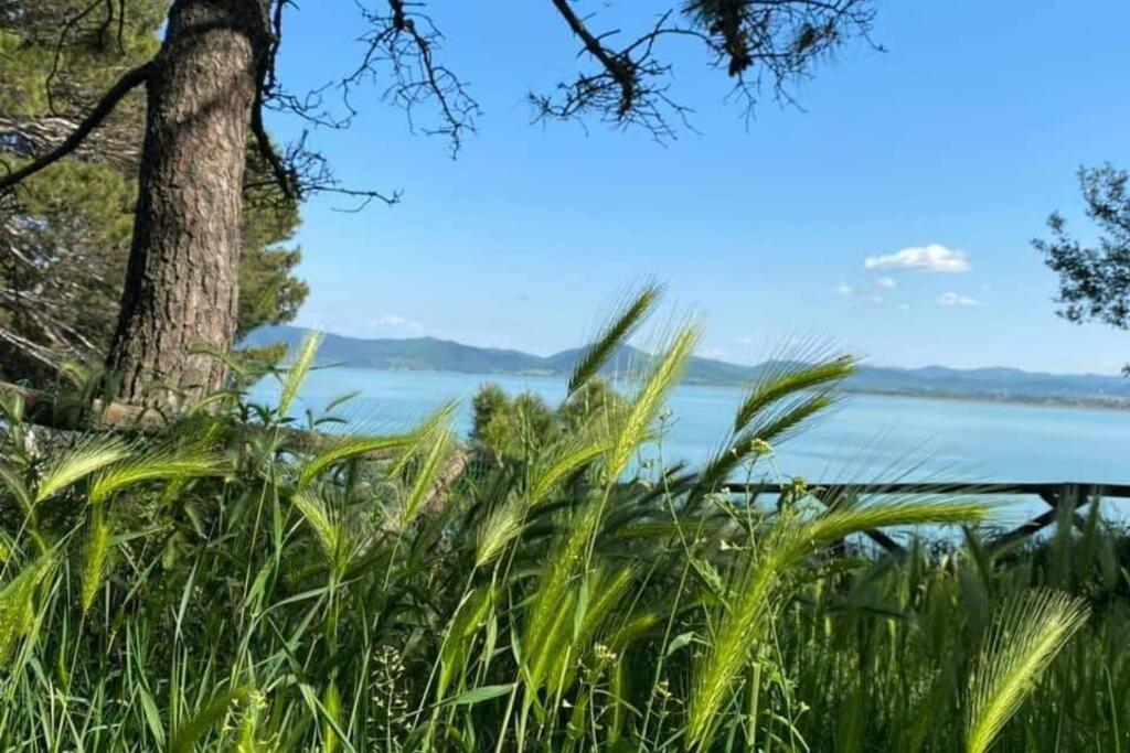 Bellavista La Tua Romantica Vacanza Sul Trasimeno Apartment Castiglione del Lago Bagian luar foto