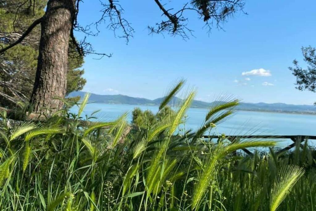 Bellavista La Tua Romantica Vacanza Sul Trasimeno Castiglione del Lago Bagian luar foto
