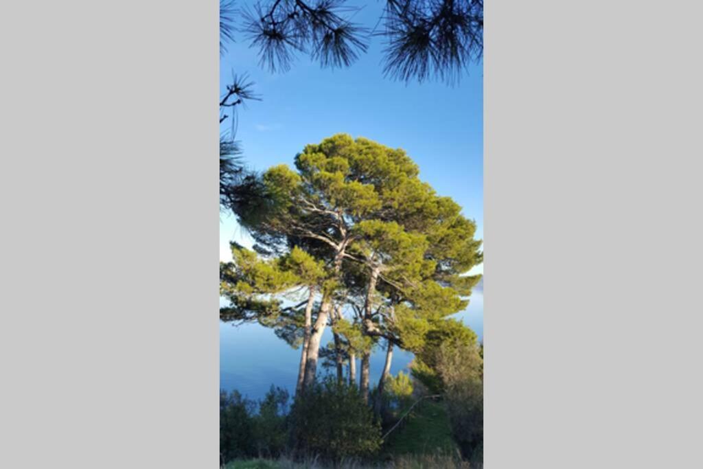 Bellavista La Tua Romantica Vacanza Sul Trasimeno Apartment Castiglione del Lago Bagian luar foto