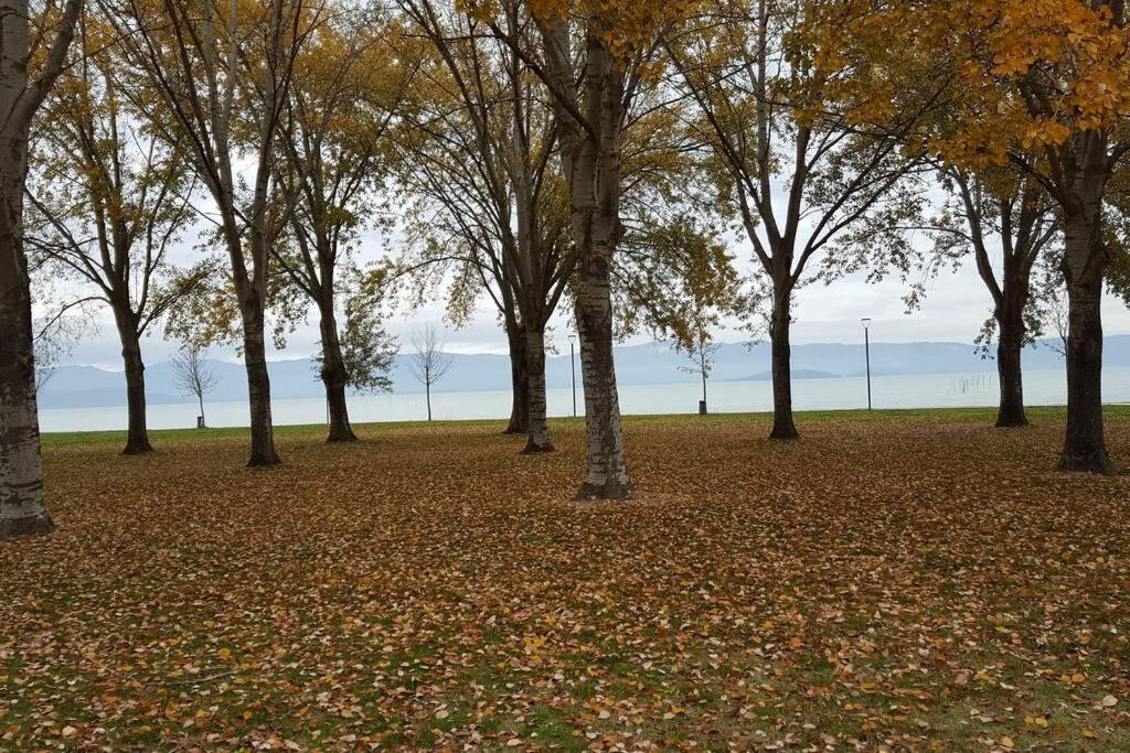 Bellavista La Tua Romantica Vacanza Sul Trasimeno Apartment Castiglione del Lago Bagian luar foto