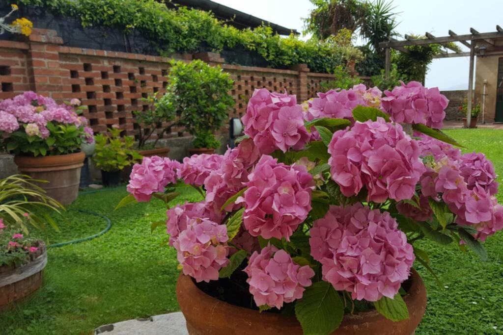 Bellavista La Tua Romantica Vacanza Sul Trasimeno Apartment Castiglione del Lago Bagian luar foto