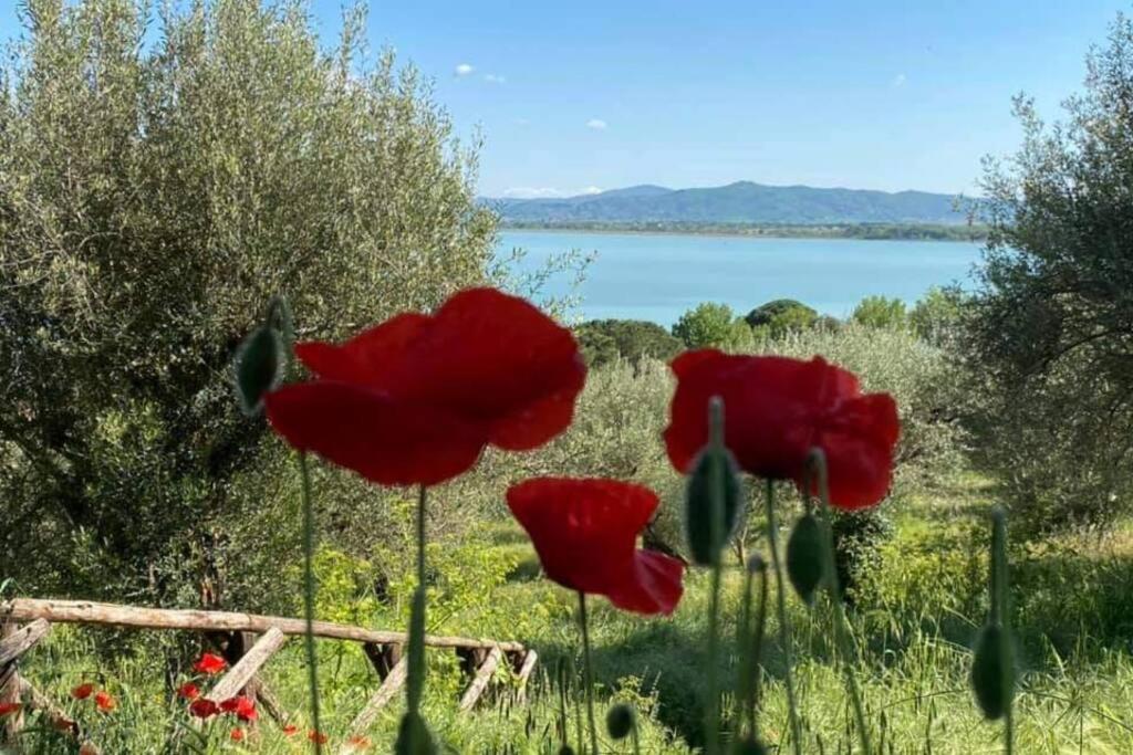 Bellavista La Tua Romantica Vacanza Sul Trasimeno Apartment Castiglione del Lago Bagian luar foto