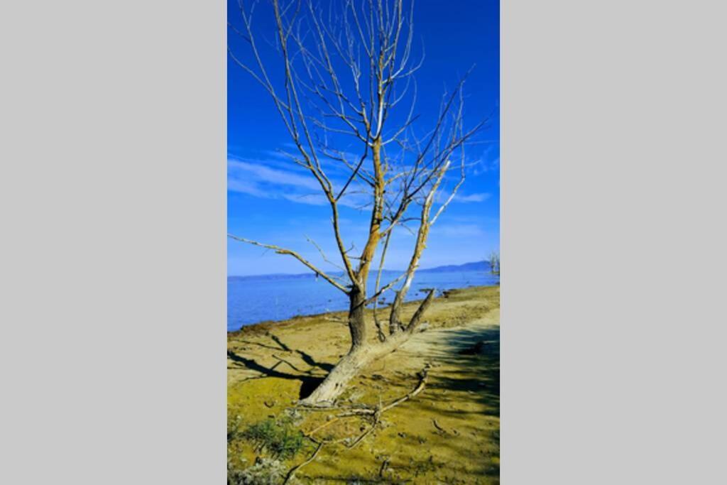 Bellavista La Tua Romantica Vacanza Sul Trasimeno Castiglione del Lago Bagian luar foto