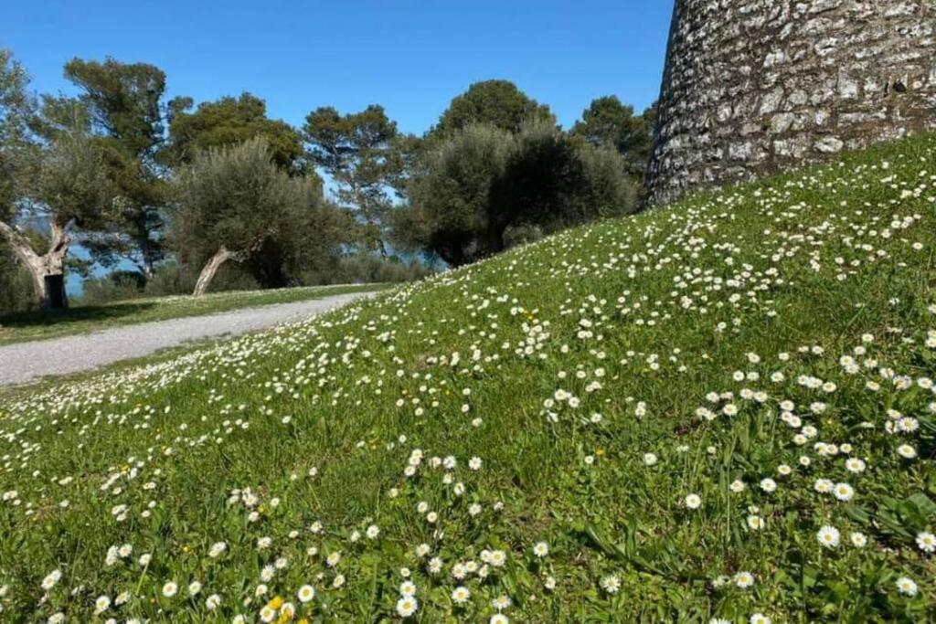 Bellavista La Tua Romantica Vacanza Sul Trasimeno Apartment Castiglione del Lago Bagian luar foto