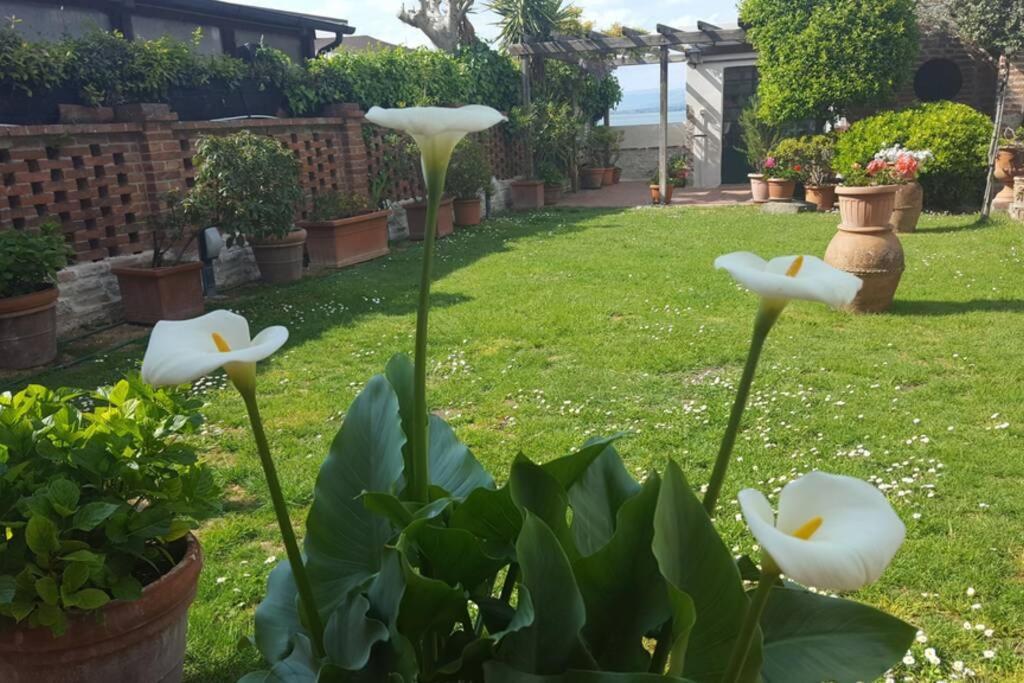 Bellavista La Tua Romantica Vacanza Sul Trasimeno Castiglione del Lago Bagian luar foto
