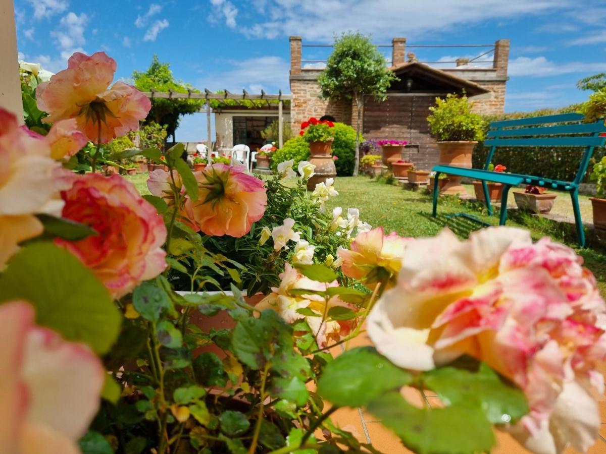 Bellavista La Tua Romantica Vacanza Sul Trasimeno Apartment Castiglione del Lago Bagian luar foto