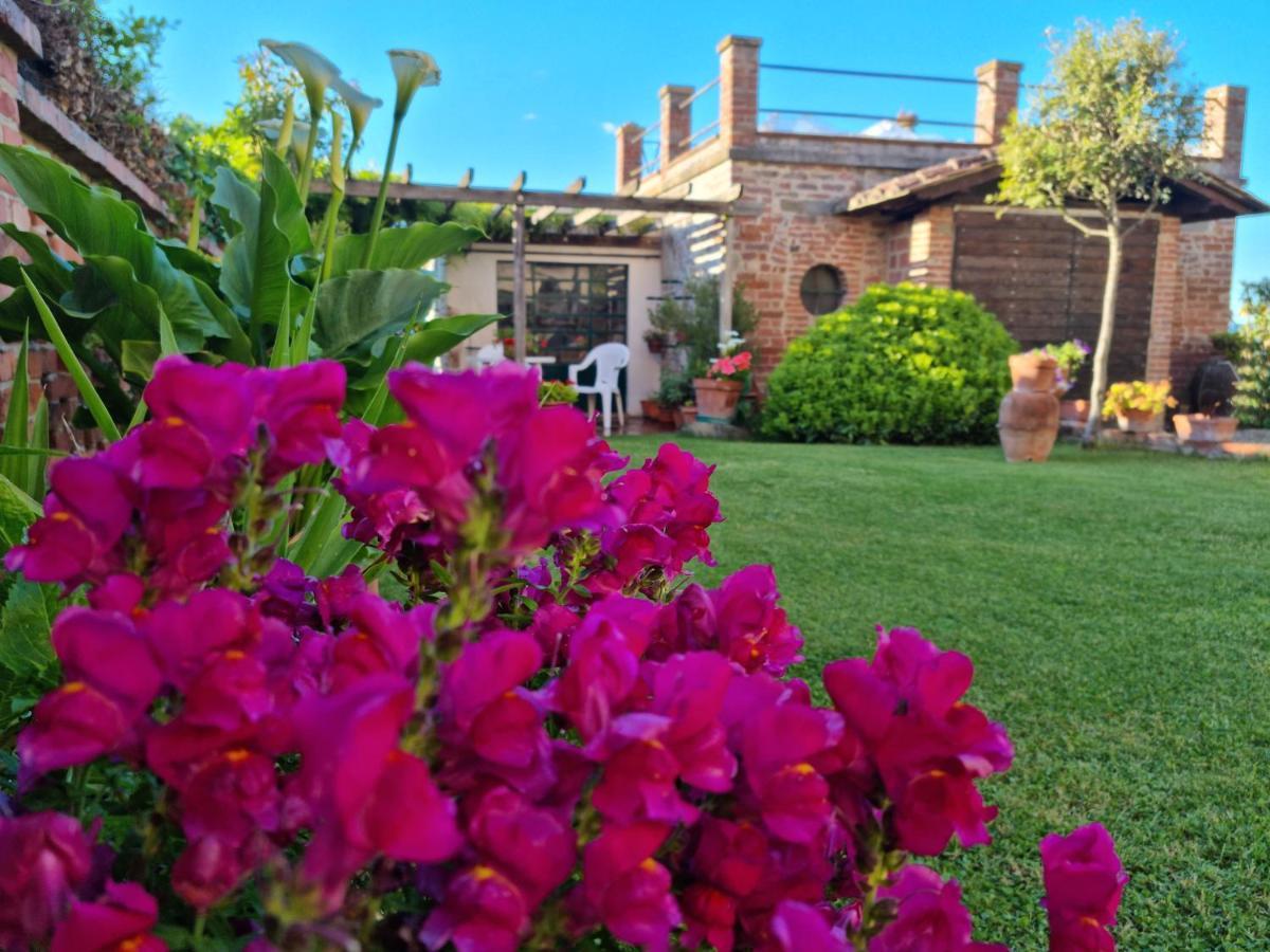 Bellavista La Tua Romantica Vacanza Sul Trasimeno Apartment Castiglione del Lago Bagian luar foto